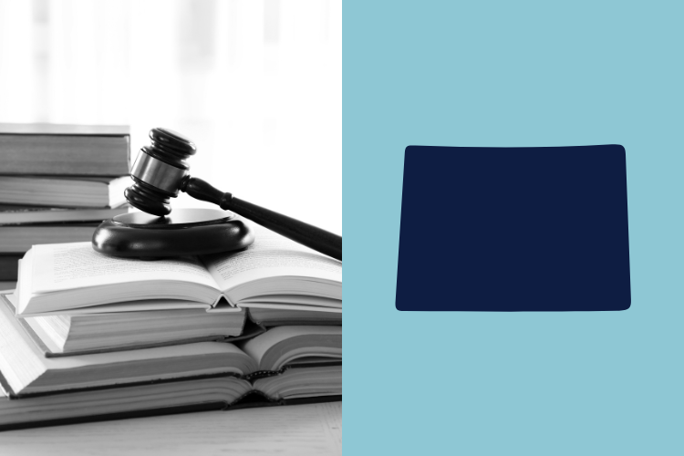 Corporate Practice of Medicine (CPOM) Guide: Colorado