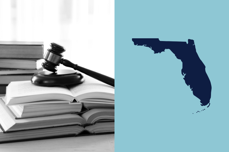 Corporate Practice of Medicine (CPOM) Guide: Florida