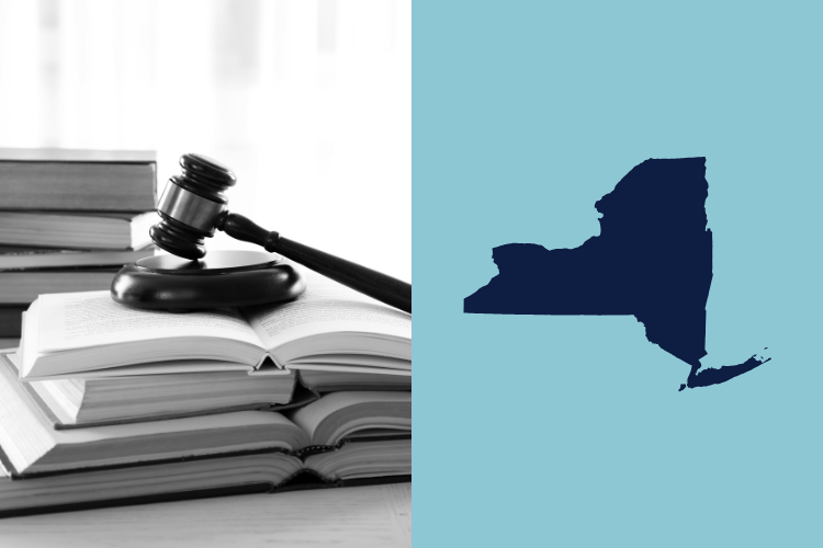 Corporate Practice of Medicine (CPOM) Guide: New York